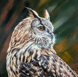Wise One by Debbie Boon - Original Painting on Box Canvas sized 28x28 inches. Available from Whitewall Galleries